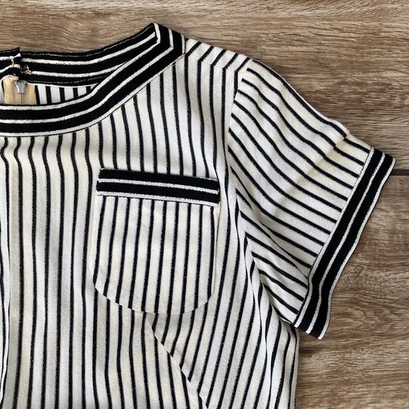 Vintage Black White Shear Stripe Dress - Picture 7 of 9